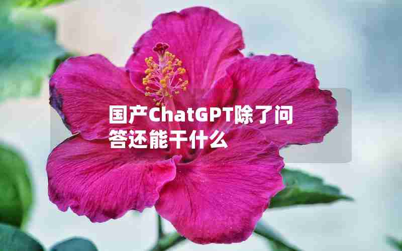 国产ChatGPT除了问答还能干什么