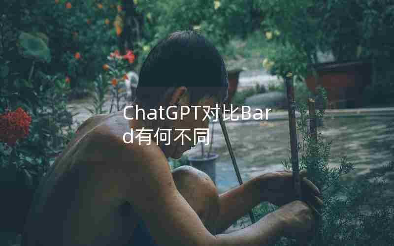 ChatGPT对比Bard有何不同