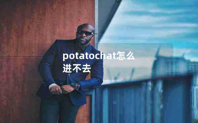 potatochat怎么进不去