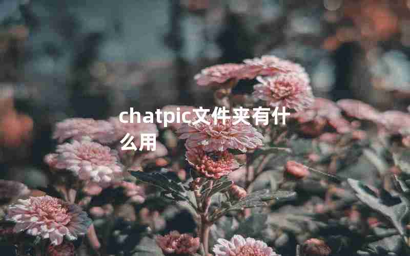 chatpic文件夹有什么用