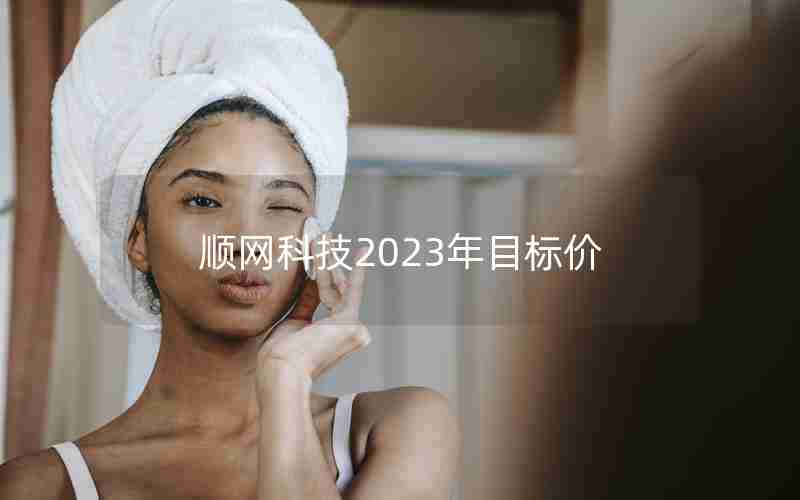 顺网科技2023年目标价