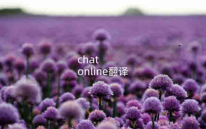 chat online翻译