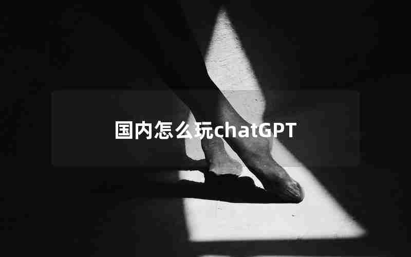 国内怎么玩chatGPT