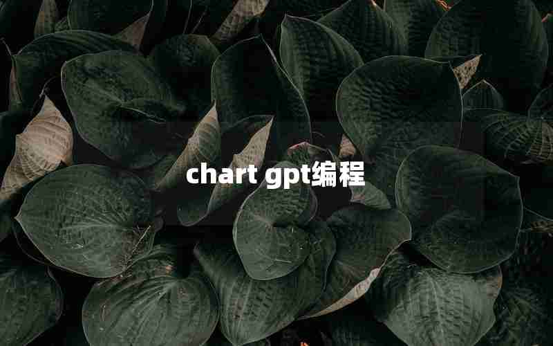 chart gpt编程