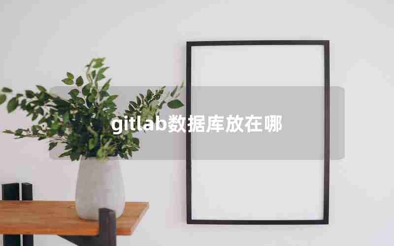 gitlab数据库放在哪