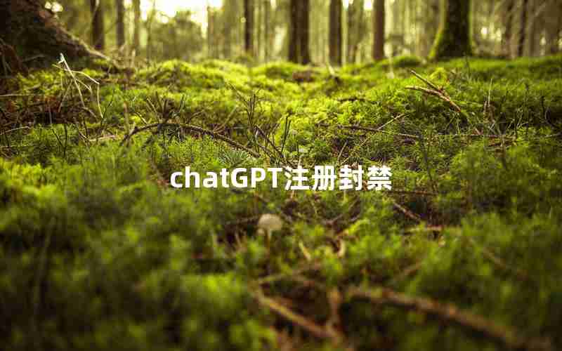 chatGPT注册封禁