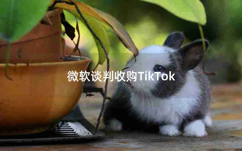 微软谈判收购TikTok