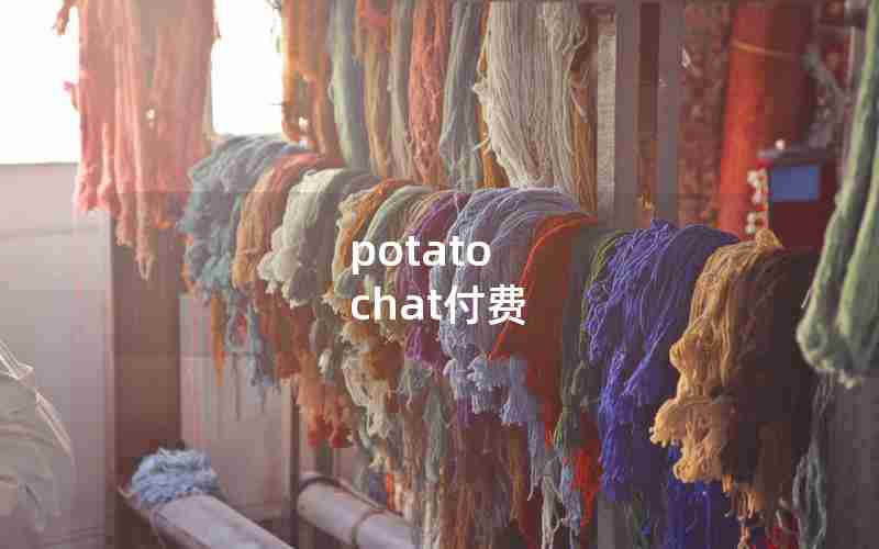 potato chat付费