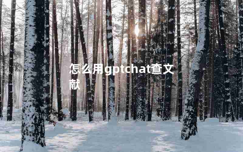 怎么用gptchat查文献