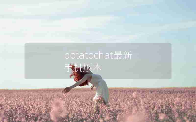 potatochat最新手机版本