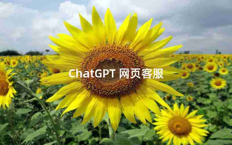 ChatGPT 网页客服