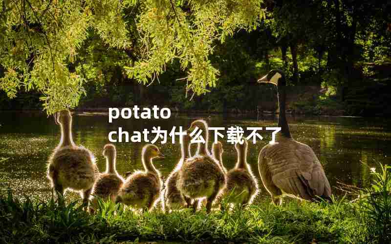 potato chat为什么下载不了