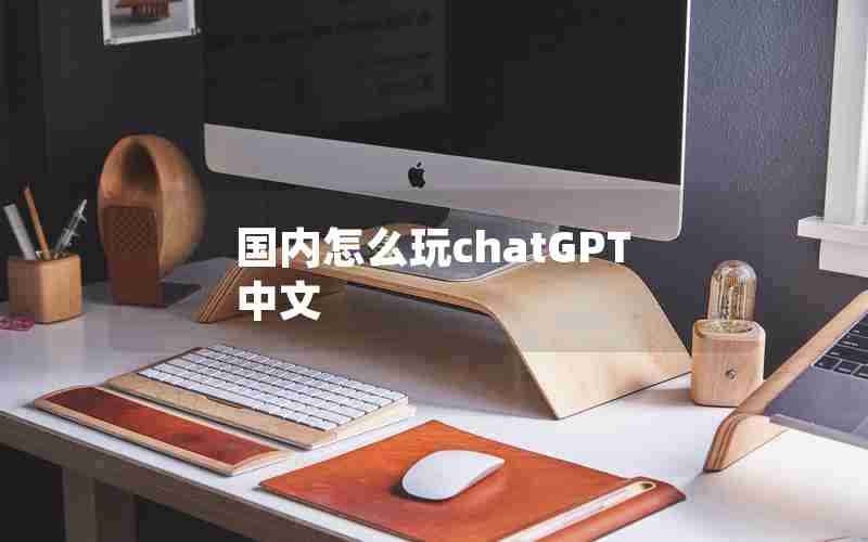 国内怎么玩chatGPT中文