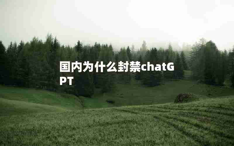 国内为什么封禁chatGPT