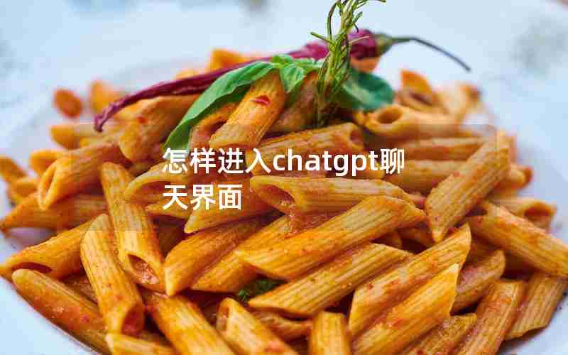 怎样进入chatgpt聊天界面