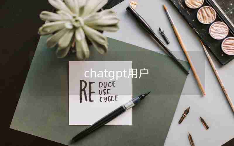 chatgpt用户