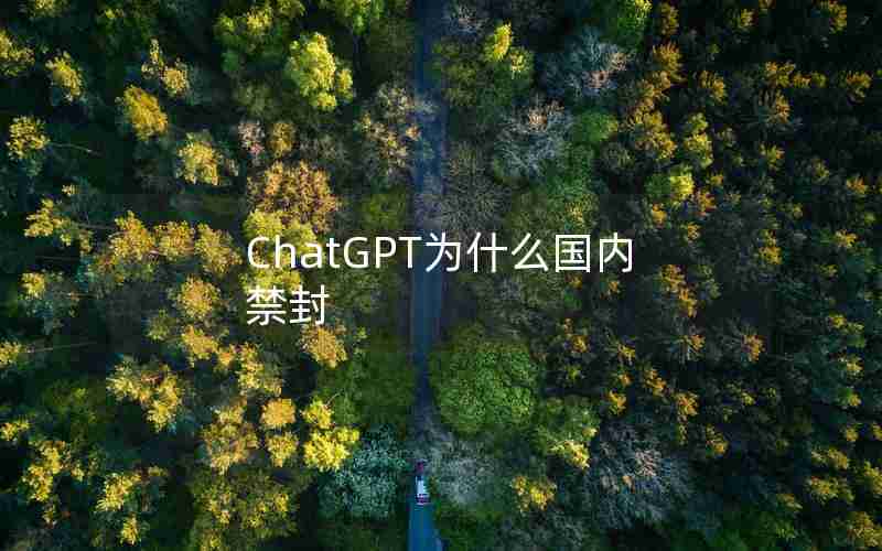 ChatGPT为什么国内禁封