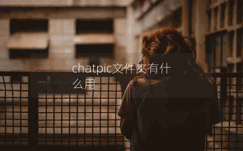 chatpic文件夹有什么用