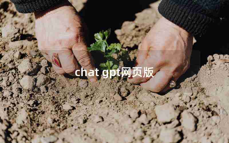 chat gpt网页版