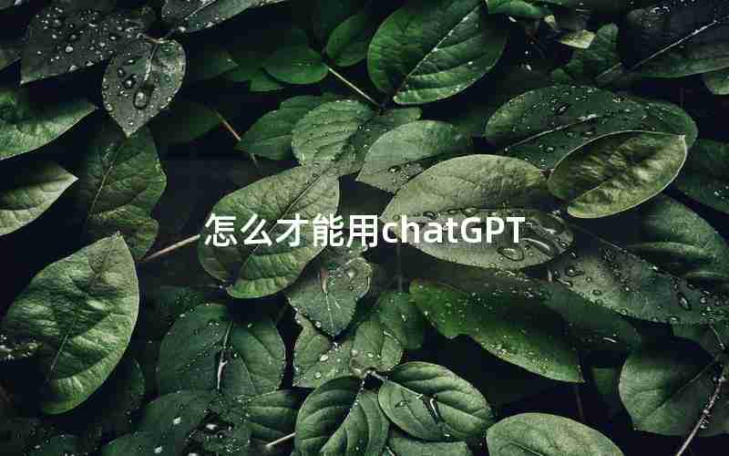 怎么才能用chatGPT