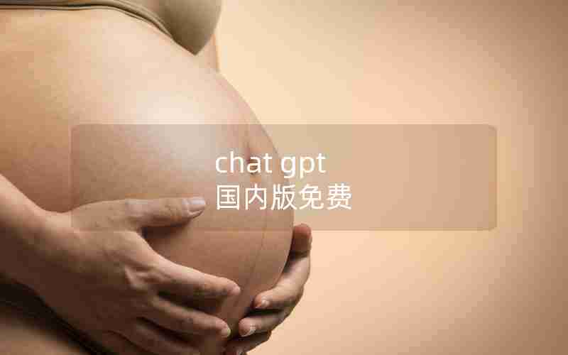 chat gpt 国内版免费