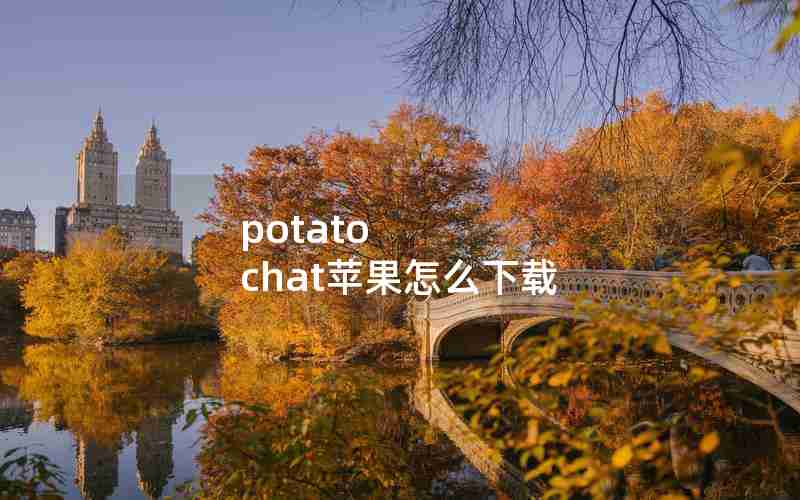 potato chat苹果怎么下载