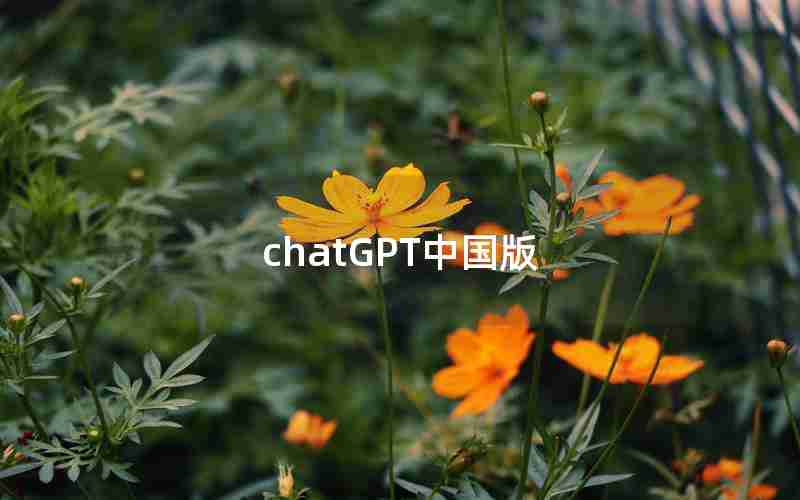 chatGPT中国版