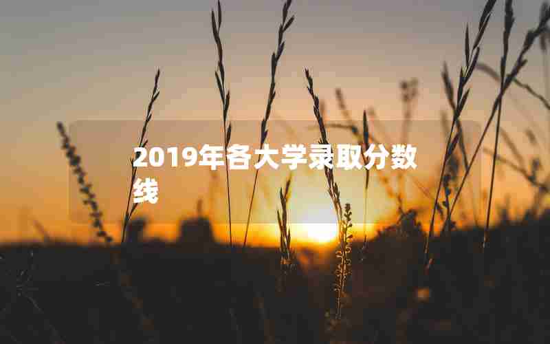 2019年各大学录取分数线