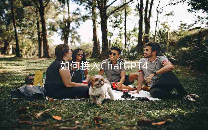 如何接入ChatGPT4