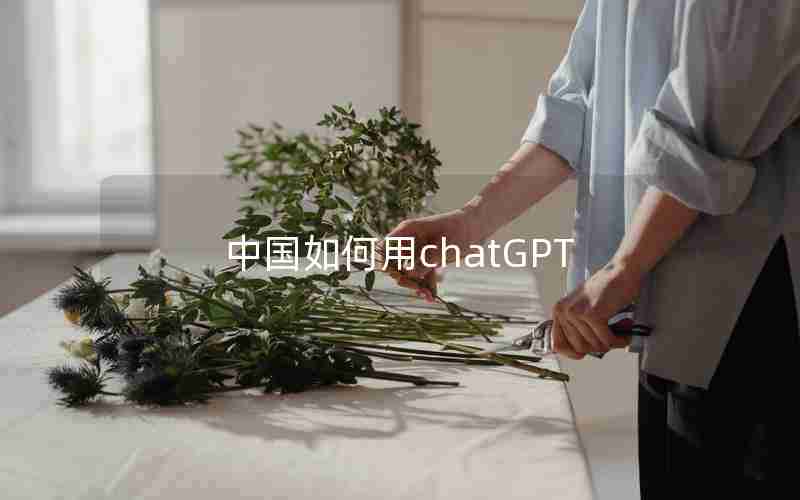 中国如何用chatGPT