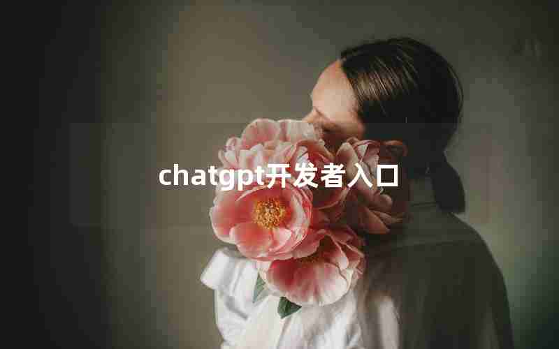 chatgpt开发者入口