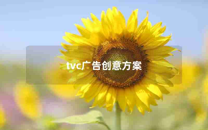 tvc广告创意方案