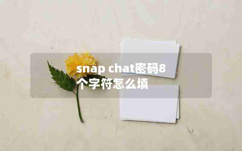 snap chat密码8个字符怎么填