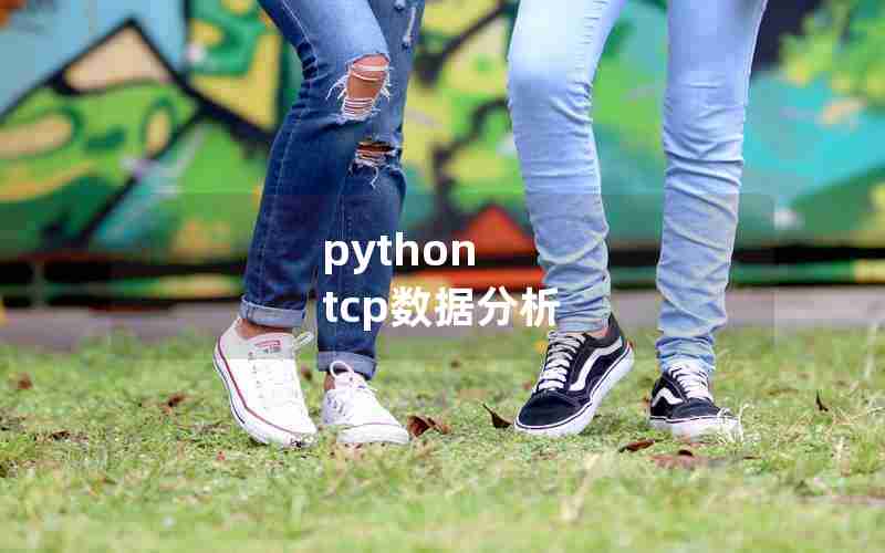 python tcp数据分析