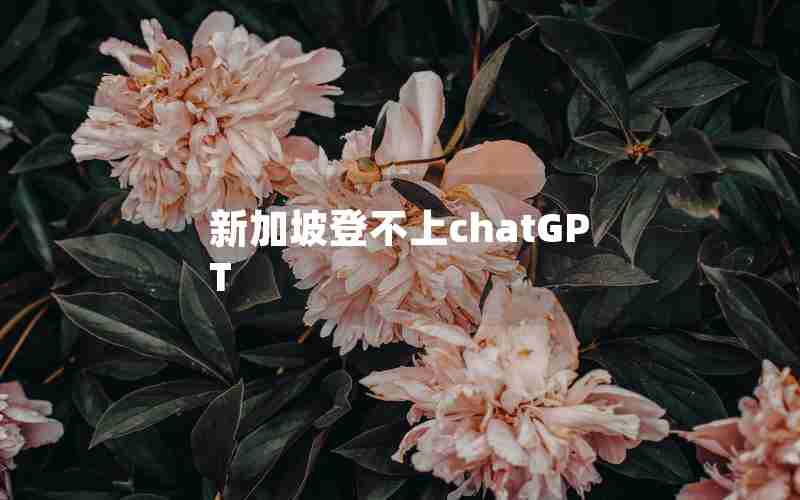 新加坡登不上chatGPT