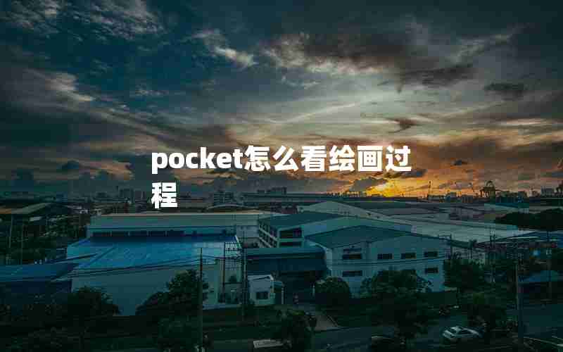 pocket怎么看绘画过程