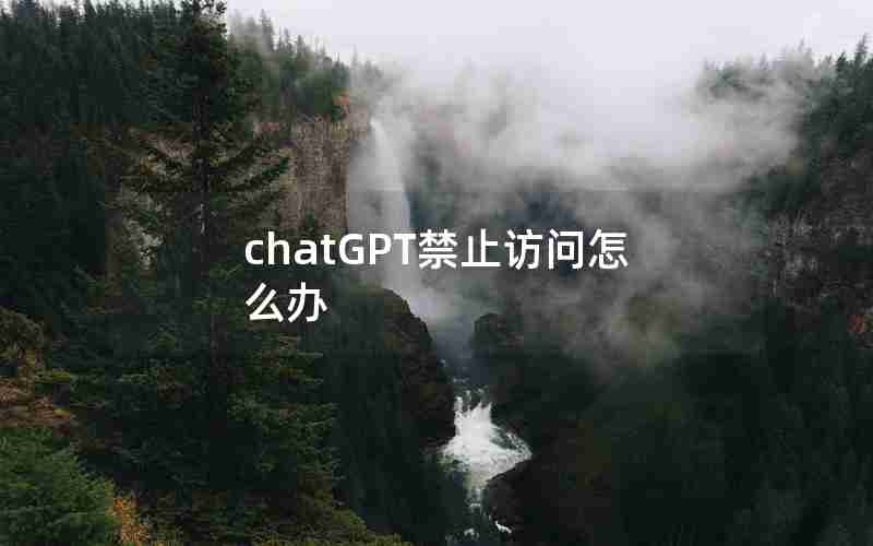 chatGPT禁止访问怎么办