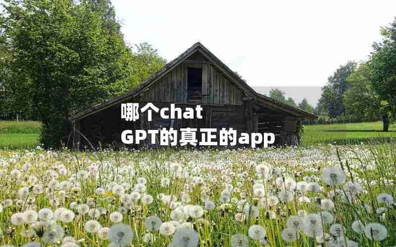 哪个chat GPT的真正的app