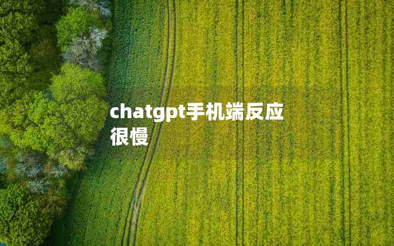 chatgpt手机端反应很慢