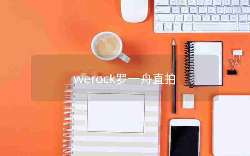 werock罗一舟直拍