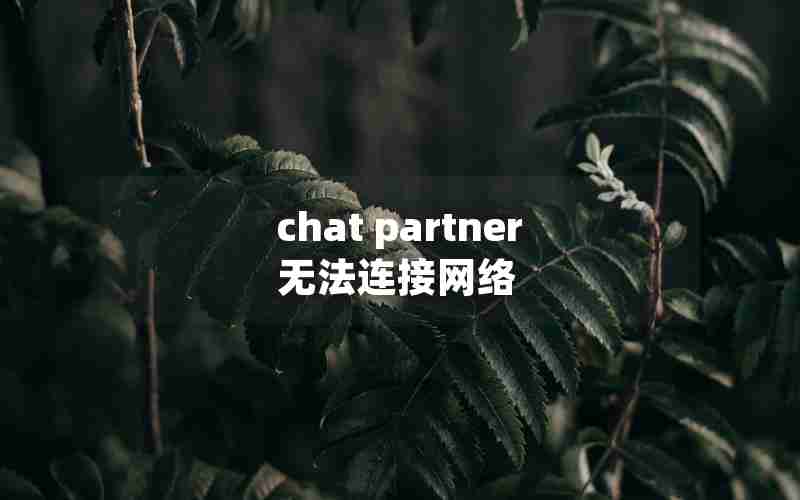 chat partner无法连接网络