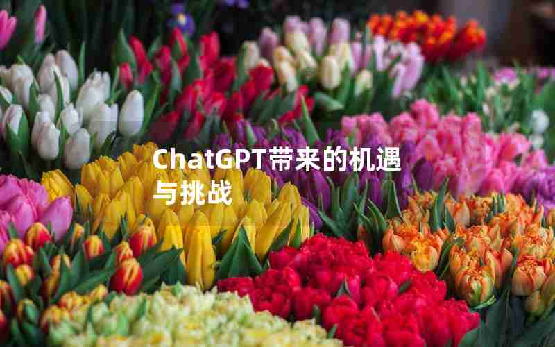 ChatGPT带来的机遇与挑战