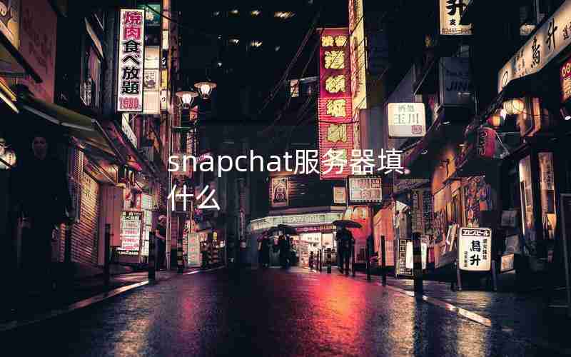 snapchat服务器填什么