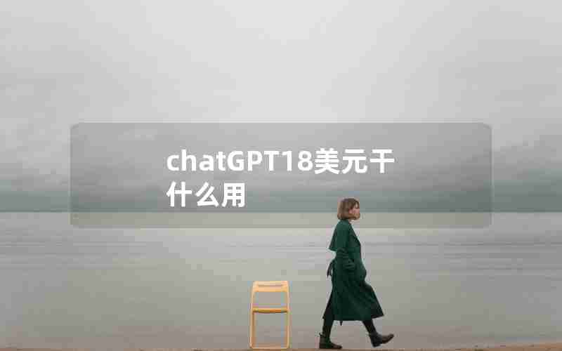 chatGPT18美元干什么用