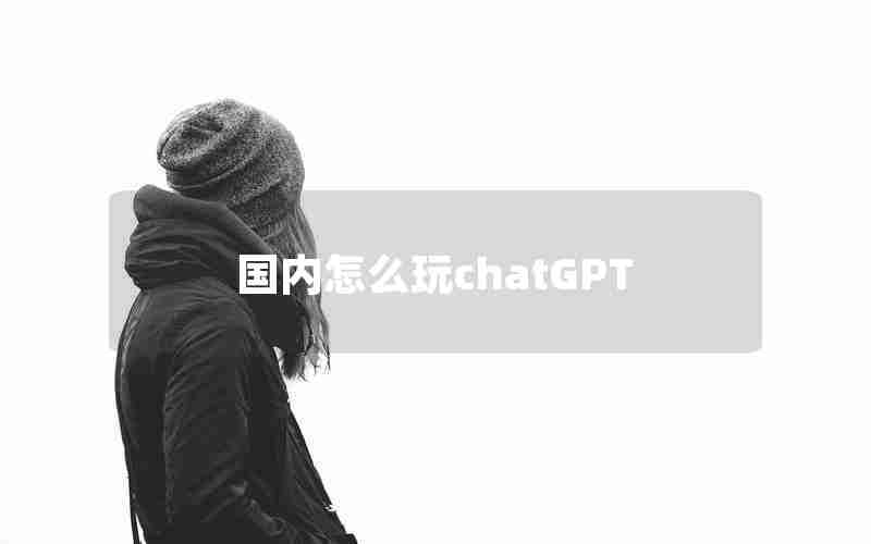 国内怎么玩chatGPT