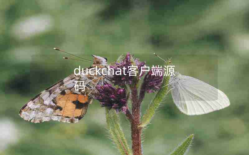 duckchat客户端源码