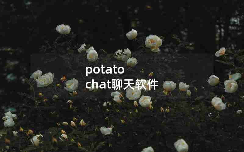 potato chat聊天软件