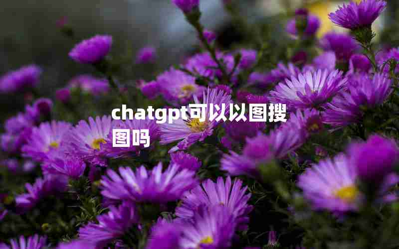 chatgpt可以以图搜图吗