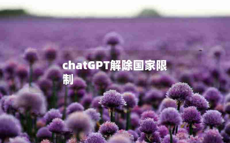 chatGPT解除国家限制