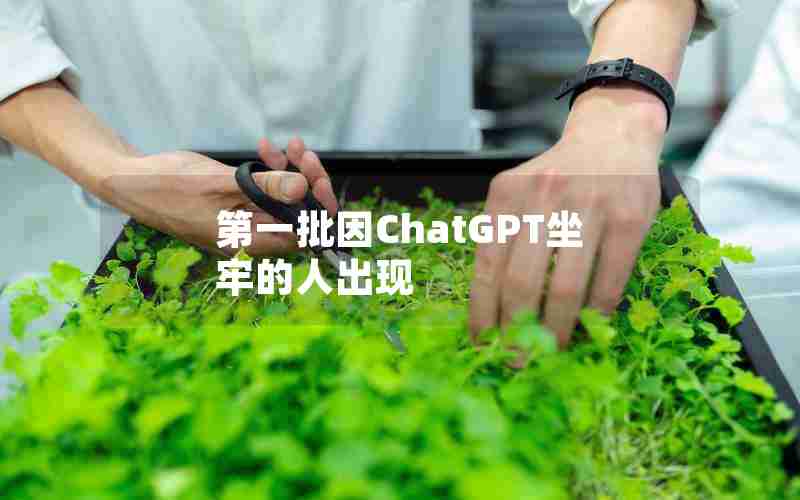 第一批因ChatGPT坐牢的人出现